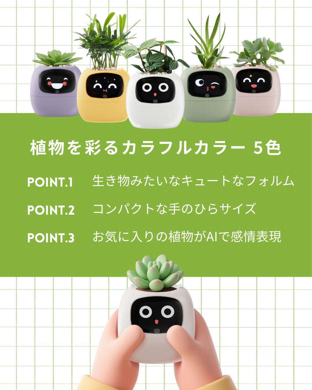 PLANTSIO Ivy image 2